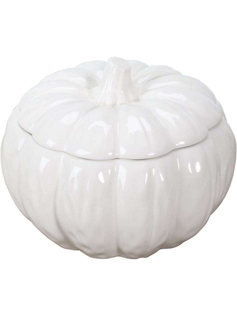 White Ceramic Pumpkin Soup Bowl with Lid - Perfect for Fall Decor & Serving